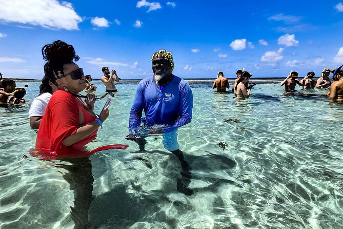 3-Hours Eye-Opening Stingray City Antigua - Transfer R/T included - Meeting stingrays off Antigua’s east coast