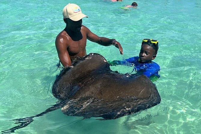 3-Hours Eye-Opening Stingray City Antigua - Transfer R/T included - Who should book this three-hour experience