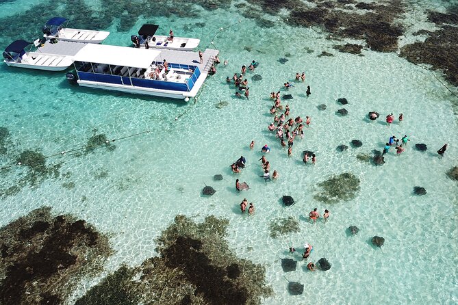 6-Hours Tour East Coast of Antigua: Stingray City, Lunch & Beach - Key things to know before you book