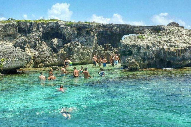 Adventure Antigua - Eli's Original Eco Tour - Guiana Island and the mangrove lesson