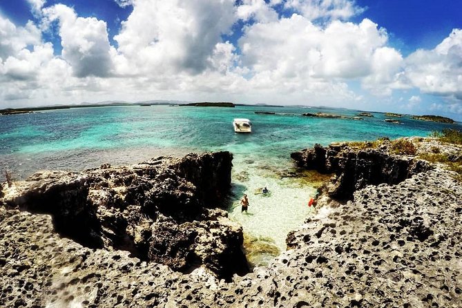 Adventure Antigua - Eli's Original Eco Tour - Snorkeling: good for beginners, less ideal for specialists