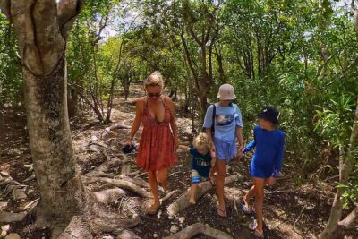 Adventure Power Boat Tour Antigua and Private Laviscount Island