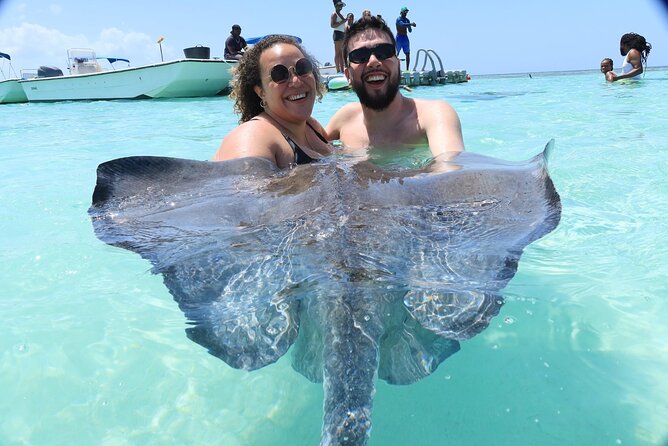 ANTIGUA FROM TOP TO BOTTOM: Stingray City, Beach, lunch & more... - Stingrays in chest-deep water at Seatons