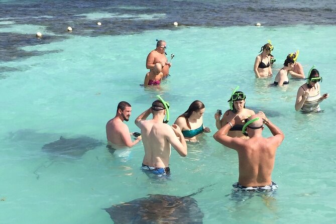 ANTIGUA FROM TOP TO BOTTOM: Stingray City, Beach, lunch & more... - Is $199.90 a fair price?