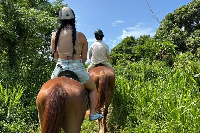 Antigua Horse Ride and Swim - Key things to know before booking