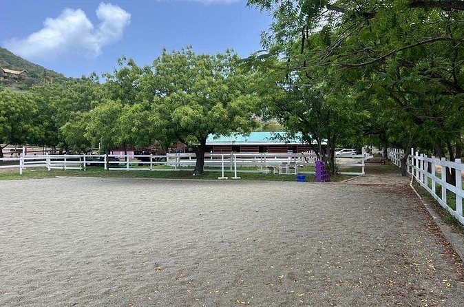 Antigua Horse Ride and Swim - A short ride with a clear purpose