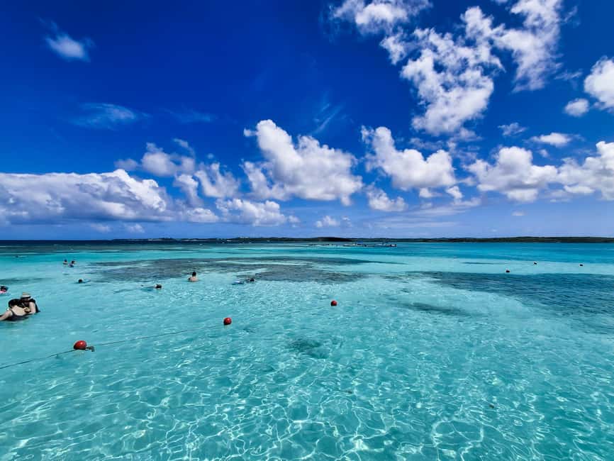 Antigua: Stingray City Experience with Round-Trip Transfer - Key points to know before you book