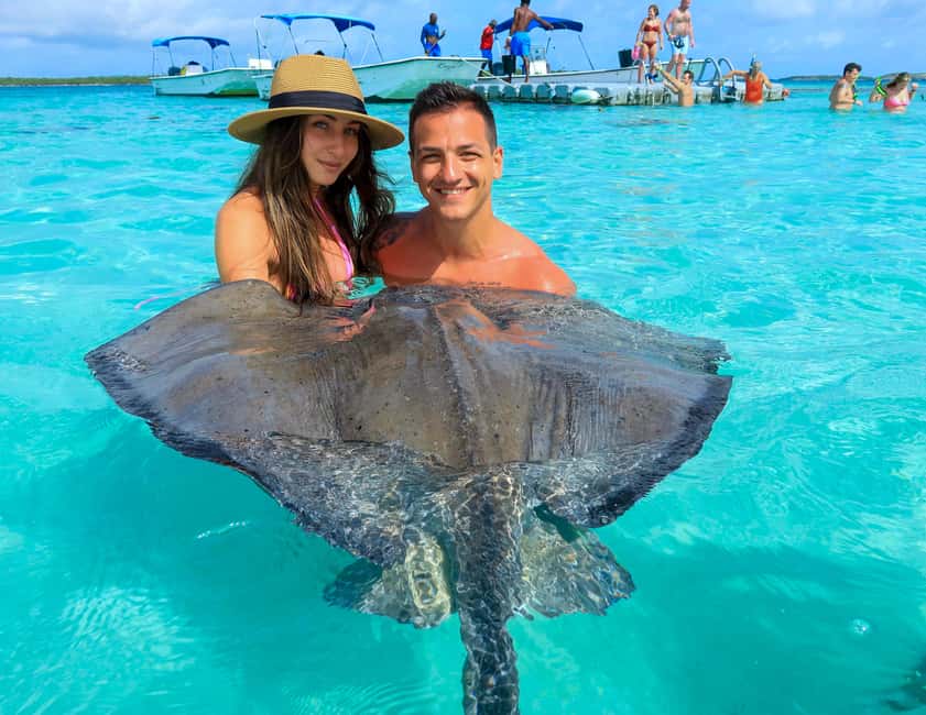Antigua: Stingray City Experience with Round-Trip Transfer - Meeting stingrays in their natural setting