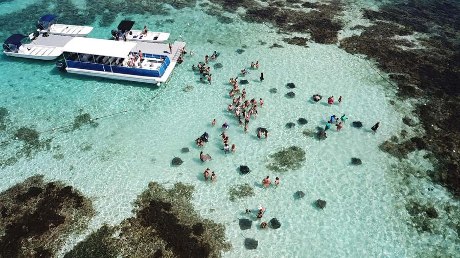Antigua: Stingray City Experience with Round-Trip Transfer - About 70 minutes with the stingrays