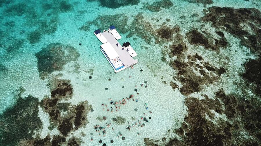 Antigua: Stingray City Experience with Round-Trip Transfer - Who will enjoy this most?
