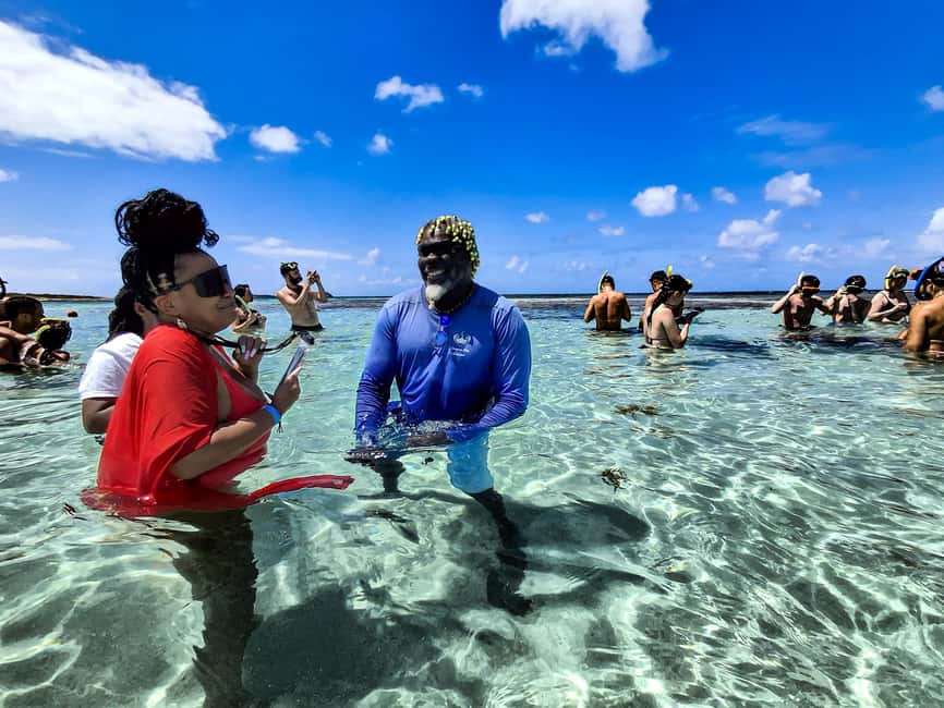 Antigua: Stingray City Experience with Round-Trip Transfer - From St. John’s or your resort to Seatons