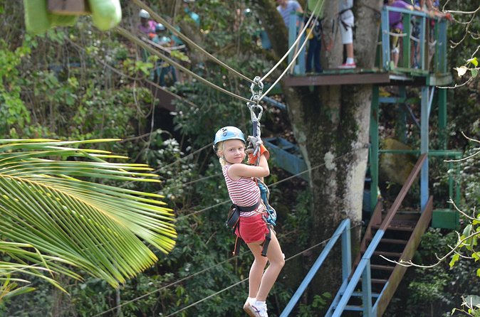 Antigua Zipline Canopy Adventure from St John’s - Forest sounds and the tree house pause