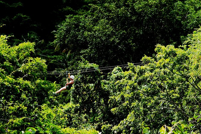 Antigua Zipline Canopy Adventure from St John’s - How safe does it feel?