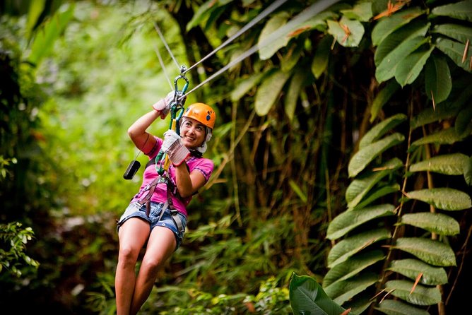 Antigua Zipline & Kayaking Combo From St. John's - Eight zip lines above Fig Tree Drive