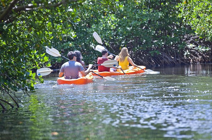 Antigua Zipline & Kayaking Combo From St. John's - Who will enjoy this Antigua combination tour?