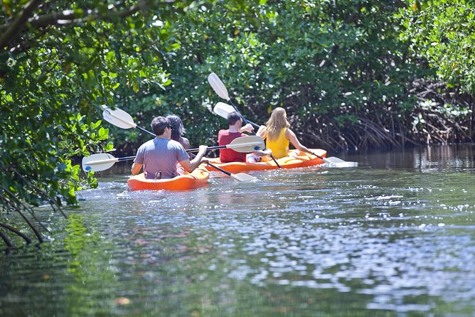 Antigua Zipline & Kayaking Combo From St. John's - Practical ways to prepare