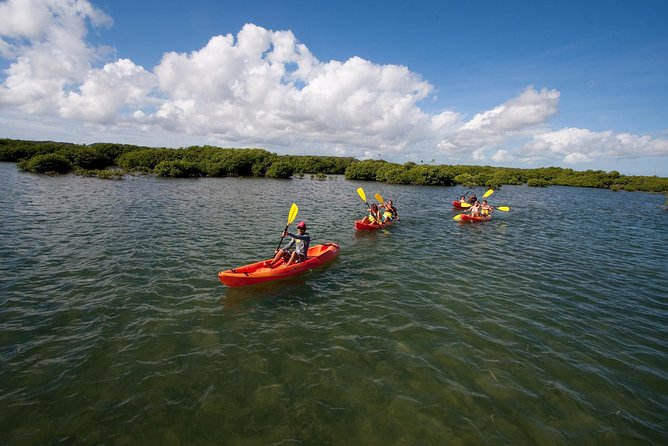Antigua Zipline & Kayaking Combo From St. John's - A 4x4 ride toward the south-west coast