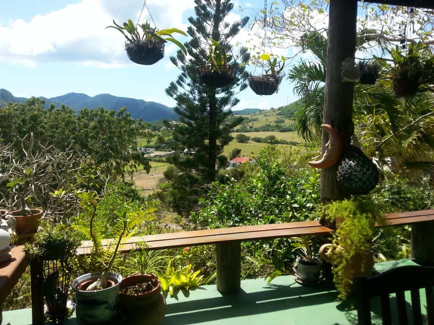 Antiguan experience home tour with local guide with lunch - Swimming and lunch at Fryes Beach
