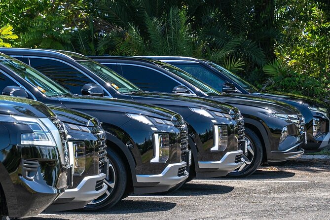 Biggvee Premium Airport One Way Transfer - What the ride feels like for a group of four