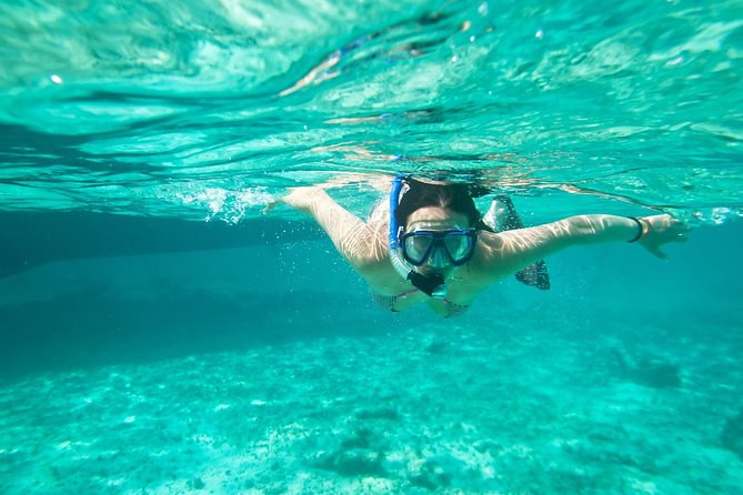 Cades Reef Snorkel Cruise from St. John's Antigua - Key points to know before you book