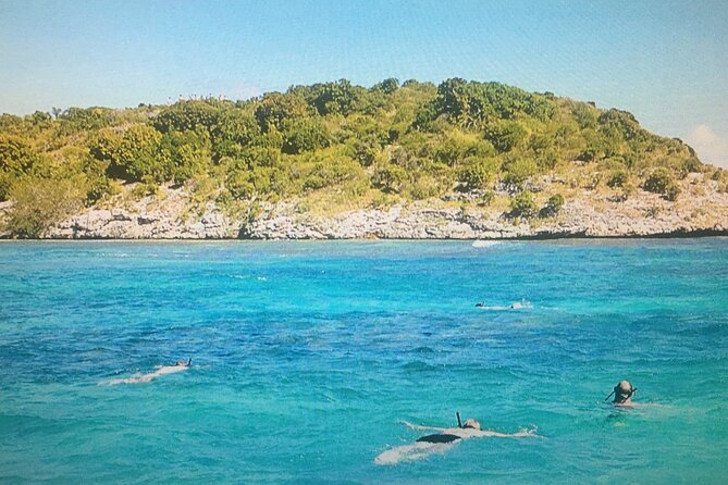 Cades Reef Snorkel Cruise from St. John's Antigua - What the 2-mile reef offers underwater