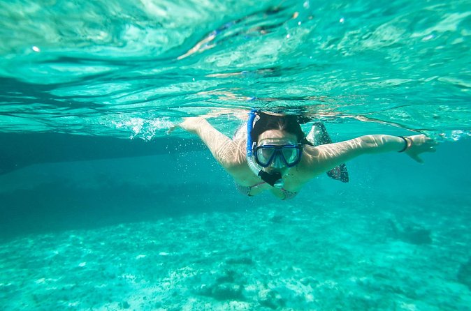 Cades Reef Snorkel Cruise from St. John's Antigua - Calypso, a Congo line, and the return cruise