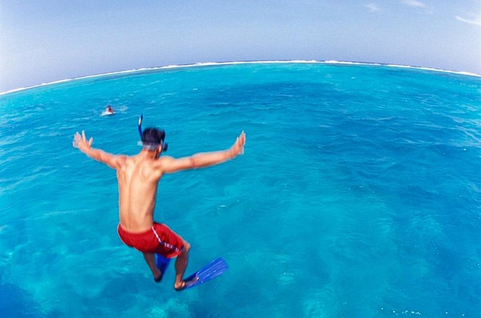 Cades Reef Snorkel Cruise from St. John's Antigua - Practical details for a smoother day
