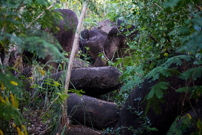 Caribbean Stonehenge - Hike on Green Castle Hill, Antigua. - Reaching the megaliths on Green Castle Hill