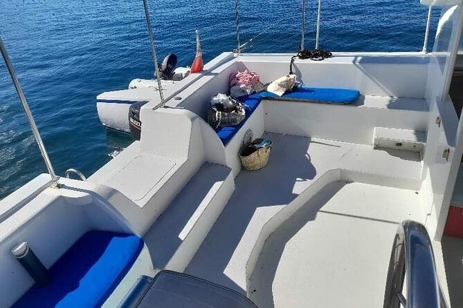 Catamaran private charter - Key points to know