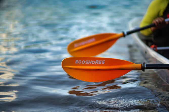 Clear Kayak Tour in Mangrove Antigua - Seeing Antigua through a clear kayak