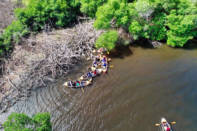 Clear Kayak Tour in Mangrove Antigua - Is $90 a fair price?