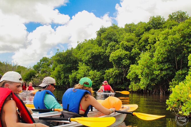 Clear Kayak Tour in Mangrove Antigua - Getting to Osbourn and planning your day