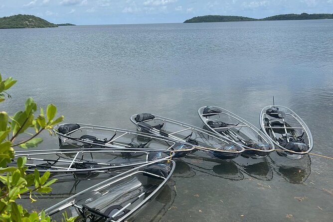 Crystal Kayak & Snorkel Eco Tour (with transfer) - Why the clear kayak is the main attraction