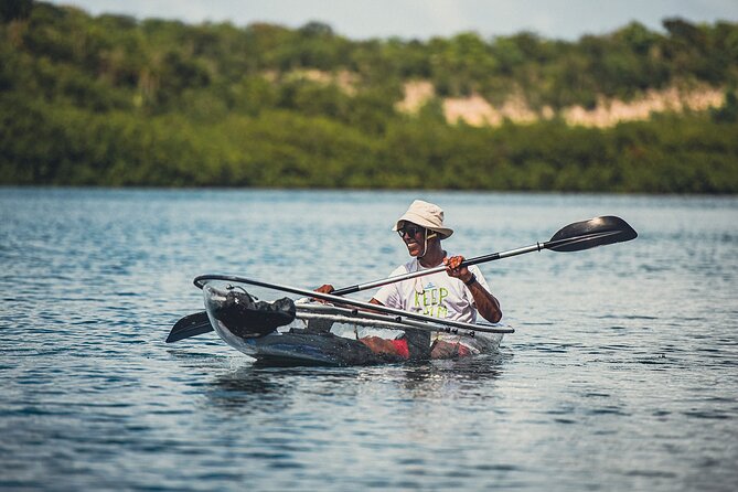 Crystal Kayak & Snorkel Eco Tour (with transfer) - The boat ride and snorkeling stop