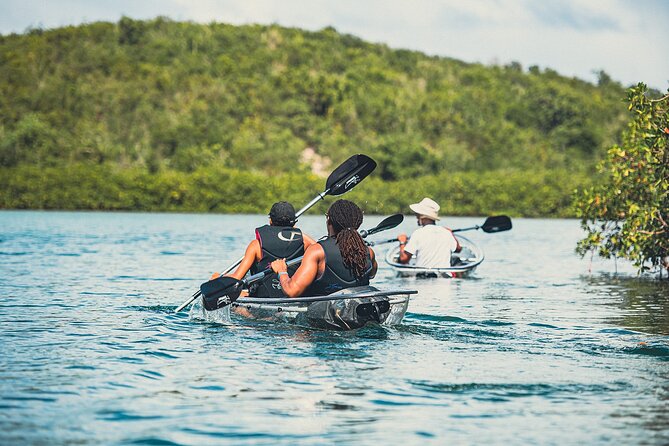 Crystal Kayak & Snorkel Eco Tour (with transfer) - Showers, snacks, and rum punch after the water