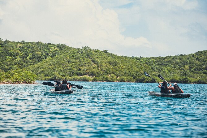 Crystal Kayak & Snorkel Eco Tour (with transfer) - Is $89 a fair price?