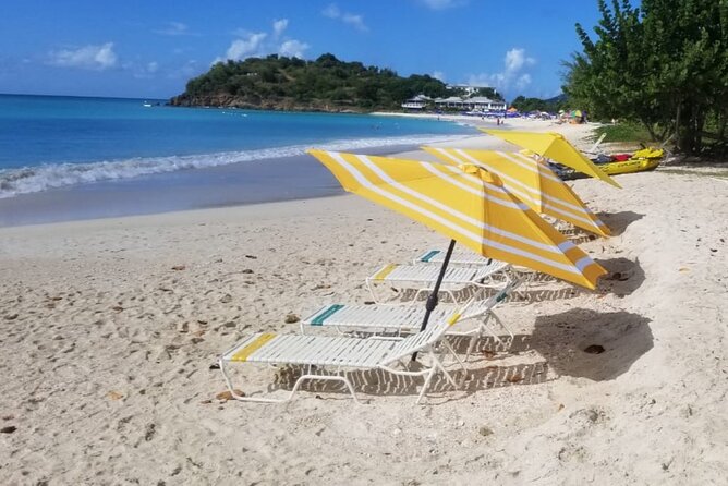Cultural and Historical Home Tour in The Antiguan Experience - The pineapple farm, with realistic expectations