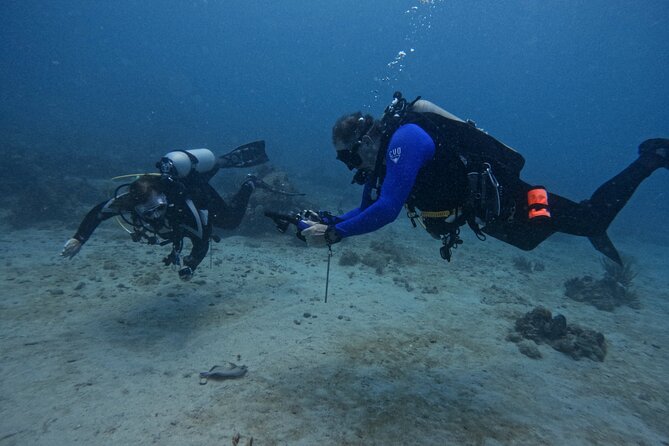 DiveCarib - An Eco-Friendly Certified Diver Trip in Antigua - The equipment briefing before you leave shore