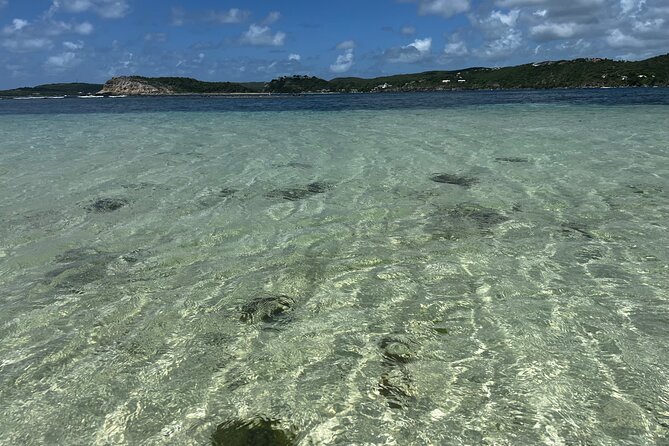 FANTASTIC Green Island and Sea Turtles - Half Day share boat trip - Green Island before the crowds arrive