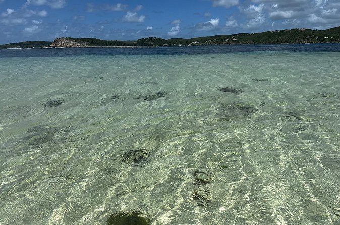FANTASTIC Green Island and Sea Turtles - Half Day share boat trip - Finding sea turtles in the clear water