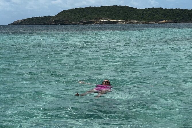 FANTASTIC Green Island and Sea Turtles - Half Day share boat trip - How $179.90 compares with the experience