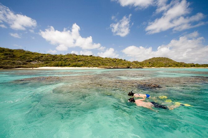 FANTASTIC Green Island and Sea Turtles - Half Day share boat trip - Who will enjoy this half-day trip