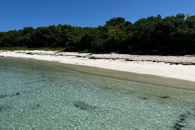 FANTASTIC Green Island and Sea Turtles - Half Day share boat trip - The boat ride to Green Island
