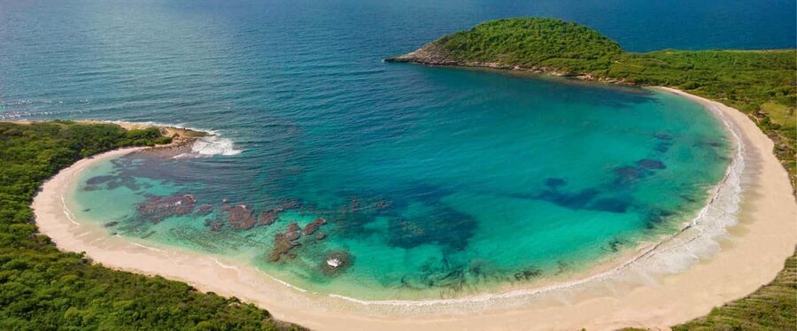 From St John's: Half Moon Bay Beach Half-Day Trip by Van - Key details at a glance