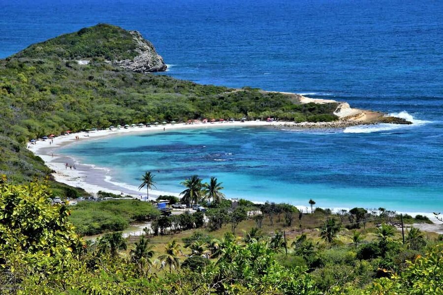 From St John's: Half Moon Bay Beach Half-Day Trip by Van - Should you book it?