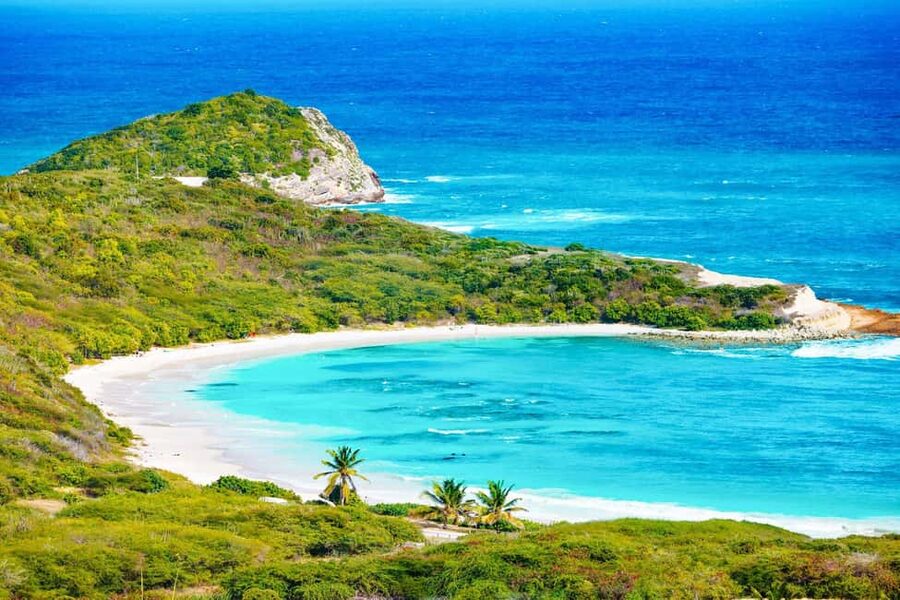 From St John's: Half Moon Bay Beach Half-Day Trip by Van - The 50-minute van ride from St John’s