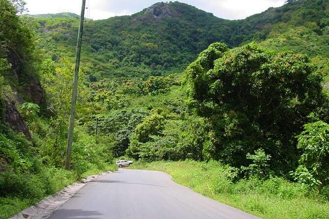 Half-Day Tour: A Taste of Paradise and History of Antigua - Shirley Heights and the English Harbour view