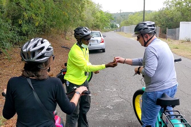Historic City, Fort and Beach E-Bike Tour - Who Will Enjoy This Antigua E-Bike Tour?