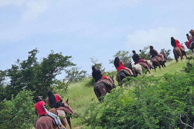 Horseback Riding at Hawksbill Beach in Five islands Antigua - The uphill ride and the high viewpoint