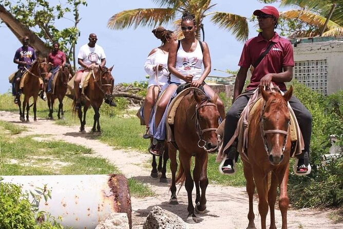 Horseback Riding at Hawksbill Beach in Five islands Antigua - The horses and how the ride feels